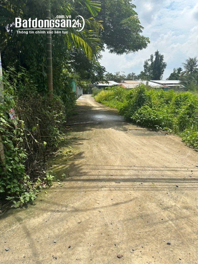 Bán đất 265m2 đường xe hơi xã Bình Mỹ, Huyện Củ Chi