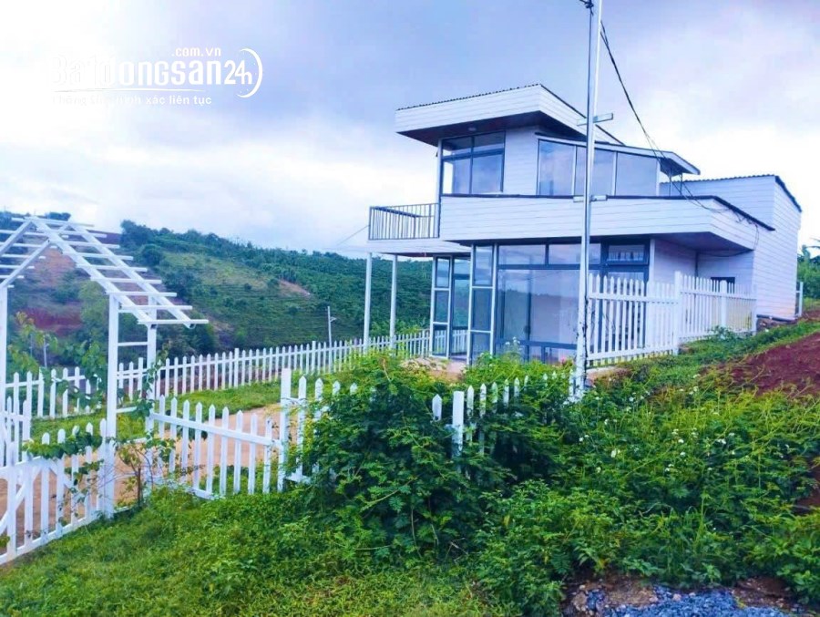 Home stay 