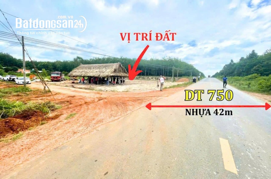 Bán đất mặt tiền Đường ĐT 750, Xã Long Hòa (H Dầu Tiếng cũ), Hồ Chí Minh