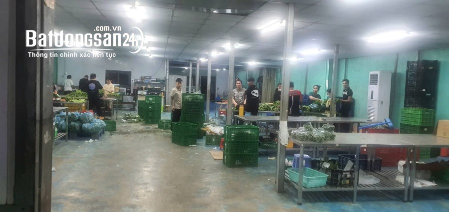 Cho thuê kho-xưởng 900m2 Phường An Phú Đông (Quận 12 cũ), Hồ Chí Minh