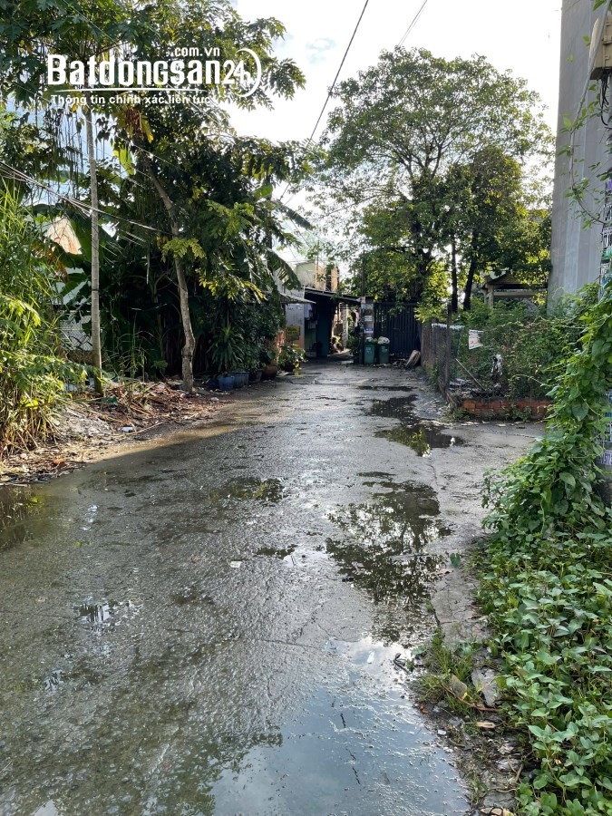 🏡 BÁN 2 LÔ ĐẤT ĐẸP – MẶT TIỀN THẠNH XUÂN 25, Q.12