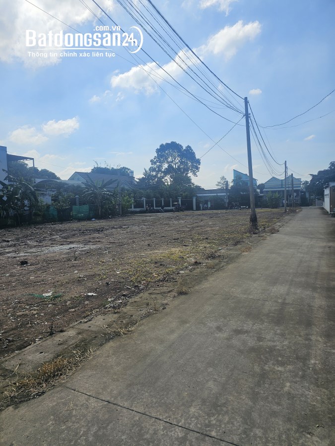 Bán đất Đường DX 142, Phường Chánh Hiệp (Thủ Dầu Một cũ), Hồ Chí Minh