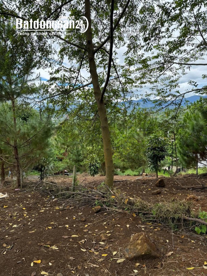Bán đất Xã Lộc Thành