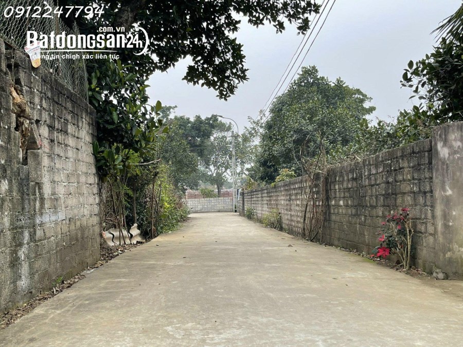 Chính chủ (không qua môi giới) bán đất thôn Trại Hồ, Cổ Đông, Sơn Tây, giá: 18 tr/m2
