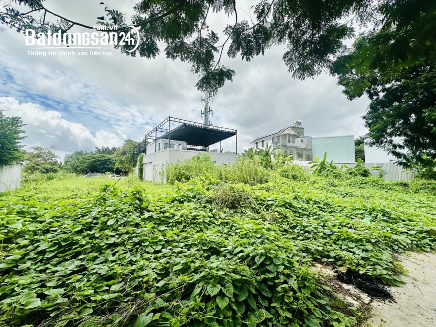 BÁN ĐẤT BIỆT THỰ ĐƠN LẬP SADECO PHƯỚC KIỂN – VIEW CÔNG VIÊN, NGANG KHỦNG 12M l