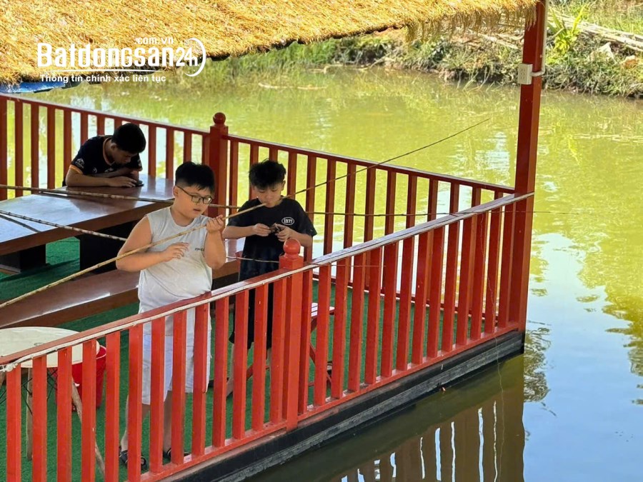 Farm gia đình đúng nghĩa giá rẻ tại Gia Nghĩa Đắk Nông