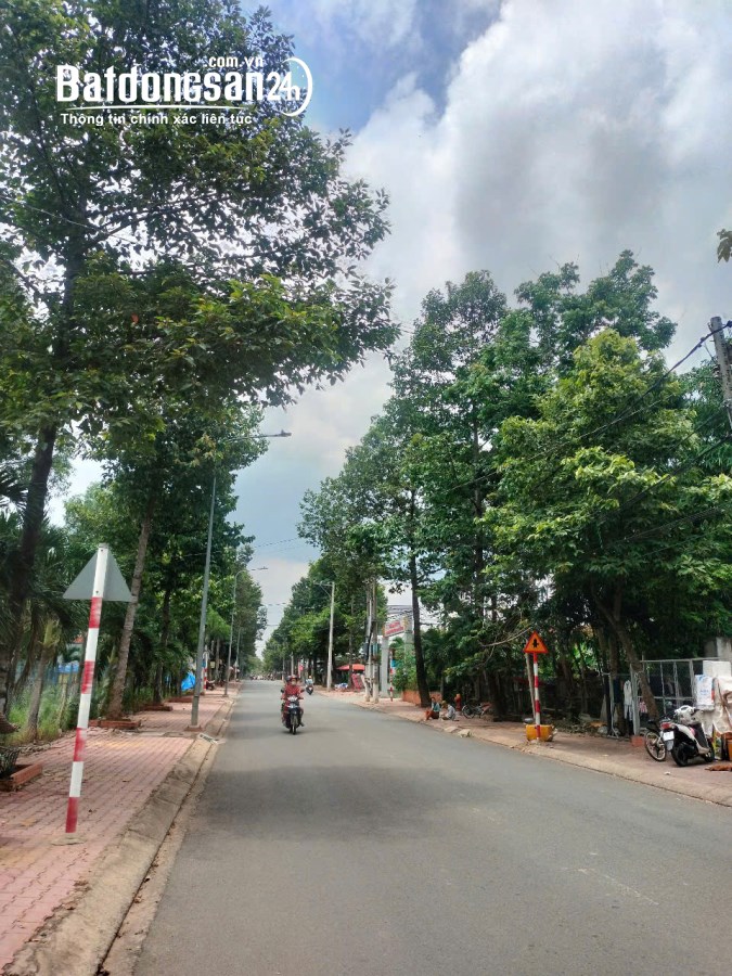 Bán đất Đường Hồ Văn Cống, Phường Chánh Hiệp (Thủ Dầu Một cũ), Hồ Chí Minh