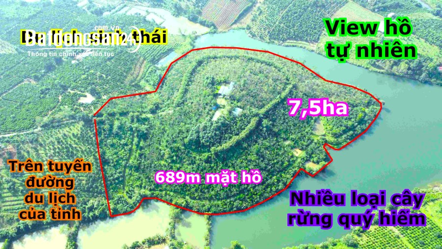 Đảo Trái Tim 7,5ha Giá Rẻ đẹp Nhất Trung Tâm Gia Nghĩa, Thích Hợp Du Lịch