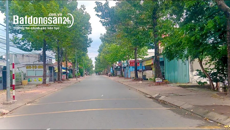 Bán đất Đường Hồ Văn Cống, Phường Bình Dương (Thủ Dầu Một cũ), TP Hồ Chí Minh