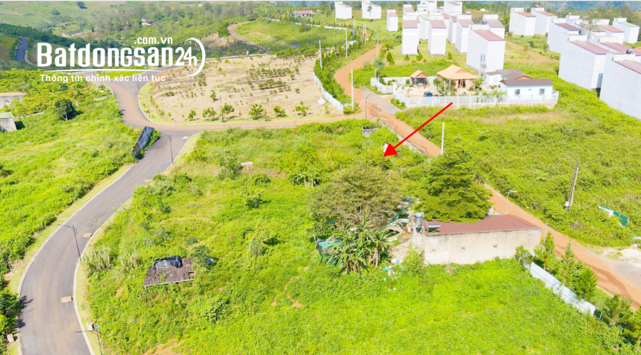 Đất biệt thự nghỉ dưỡng 341.4 m² – vị trí vàng, mặt tiền Lý Thái Tổ 28m, sẵn sổ hồng 