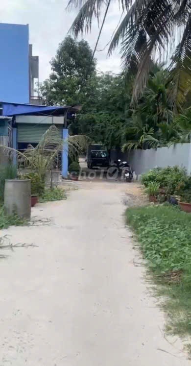 Bán lô đất trồng cây lâu năm (lên được thổ cư) Nhị Bình Hóc Môn