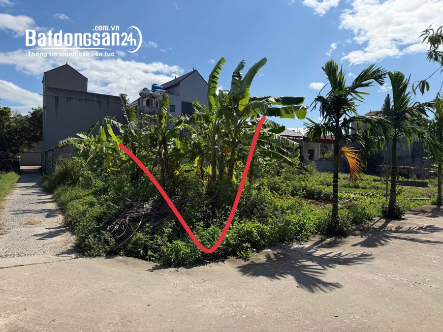 Bán Đất Thổ Cư Xã Đức Giang và Xã Tư Mại Cạnh Khu Công Nghiệp