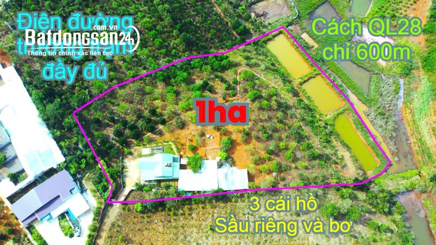 1ha nhà mái thái bằng đẹp, khu dân cư đông, đường bê tông tận nơi