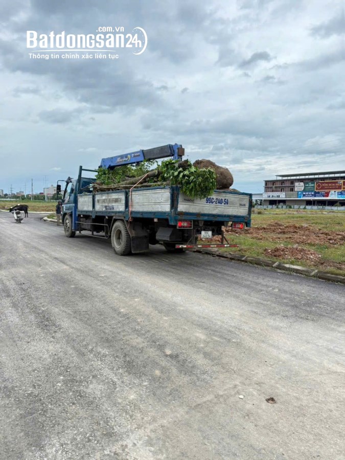 Bán đất KĐT Đình Trám - Sen Hồ, Phường Việt Yên (Tx Việt Yên cũ), Bắc Ninh