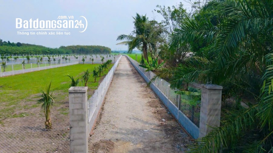 Bán đất nền phân lô Phường Gò Dầu (Huyện Gò Dầu cũ), Tây Ninh