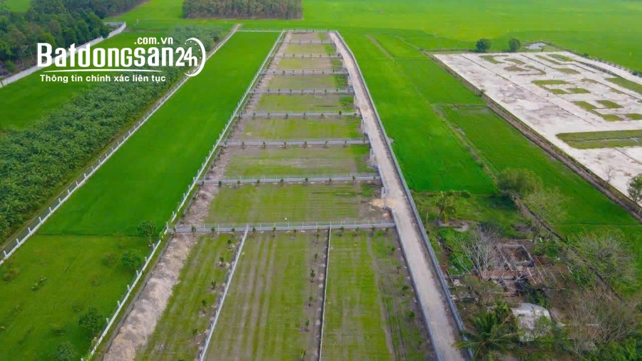 Bán đất nền phân lô Đường Hùng Vương, Phường Gò Dầu (Huyện Gò Dầu cũ), Tây Ninh