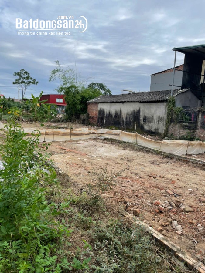 Bán đất Đường 38, Phường Trạm Lộ (TX Thuận Thành cũ), Tỉnh Bắc Ninh