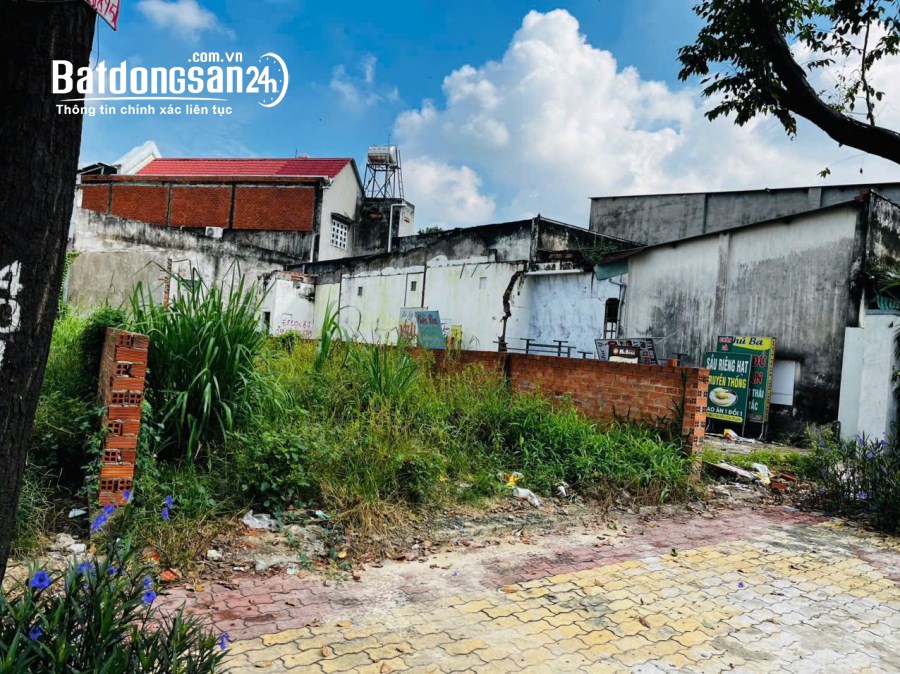 Bán đất Đường Hồ Văn Cống, Phường Bình Dương (Thủ Dầu Một cũ), Hồ Chí Minh