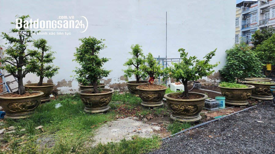 Bán đất nền phân lô Đường Thạnh Xuân 22, Phường Thới An (Quận 12 cũ), Hồ Chí Minh