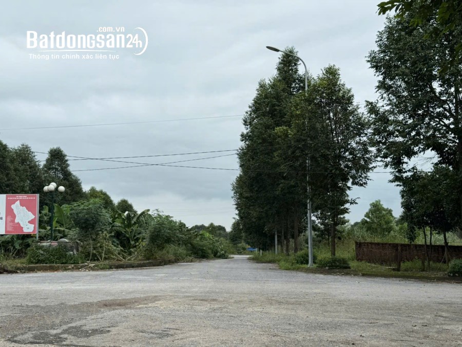 Bán đất Đường 21, Xã Hòa Lạc (H Thạch Thất cũ), TP Hà Nội