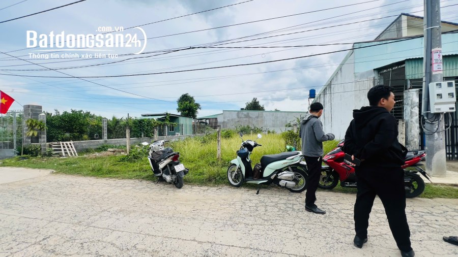 Bán đất Đường 768, Phường Tân Triều (H Vĩnh Cửu cũ), Đồng Nai