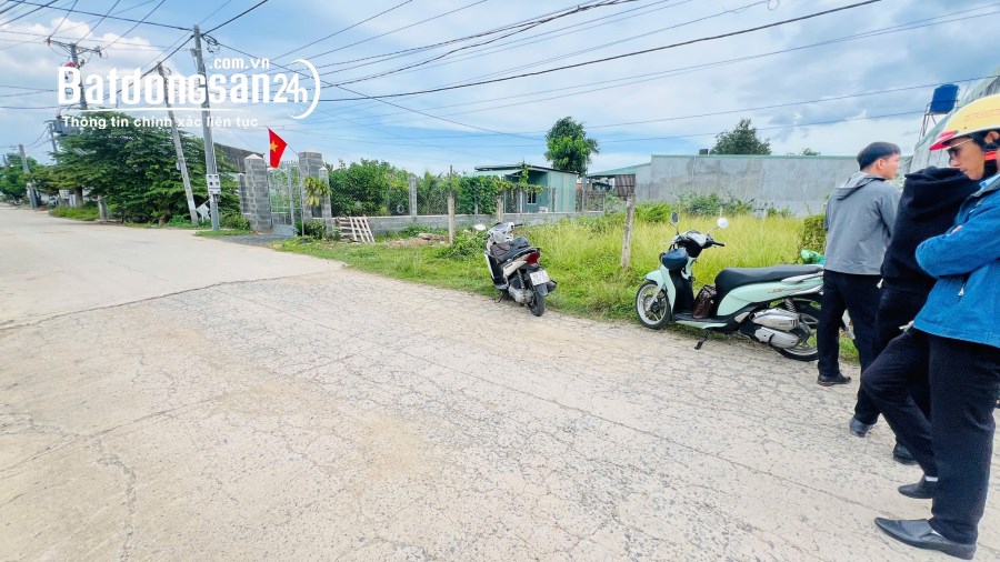 Bán đất Đường 768, Phường Tân Triều (H Vĩnh Cửu cũ), Đồng Nai