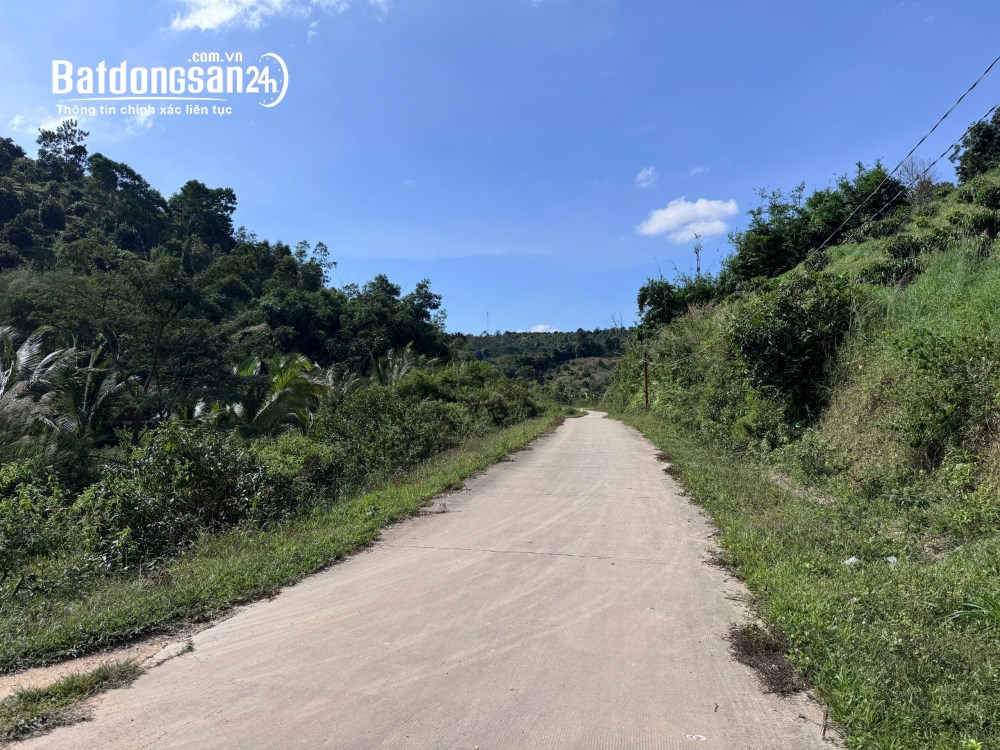 1ha giá rẻ gần trung tâm, có sẵn nhà thuộc Nam Rạ phường Đông Gia Nghĩa