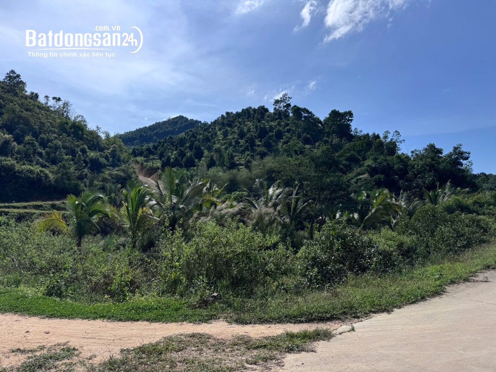 1ha giá rẻ gần trung tâm, có sẵn nhà thuộc Nam Rạ phường Đông Gia Nghĩa