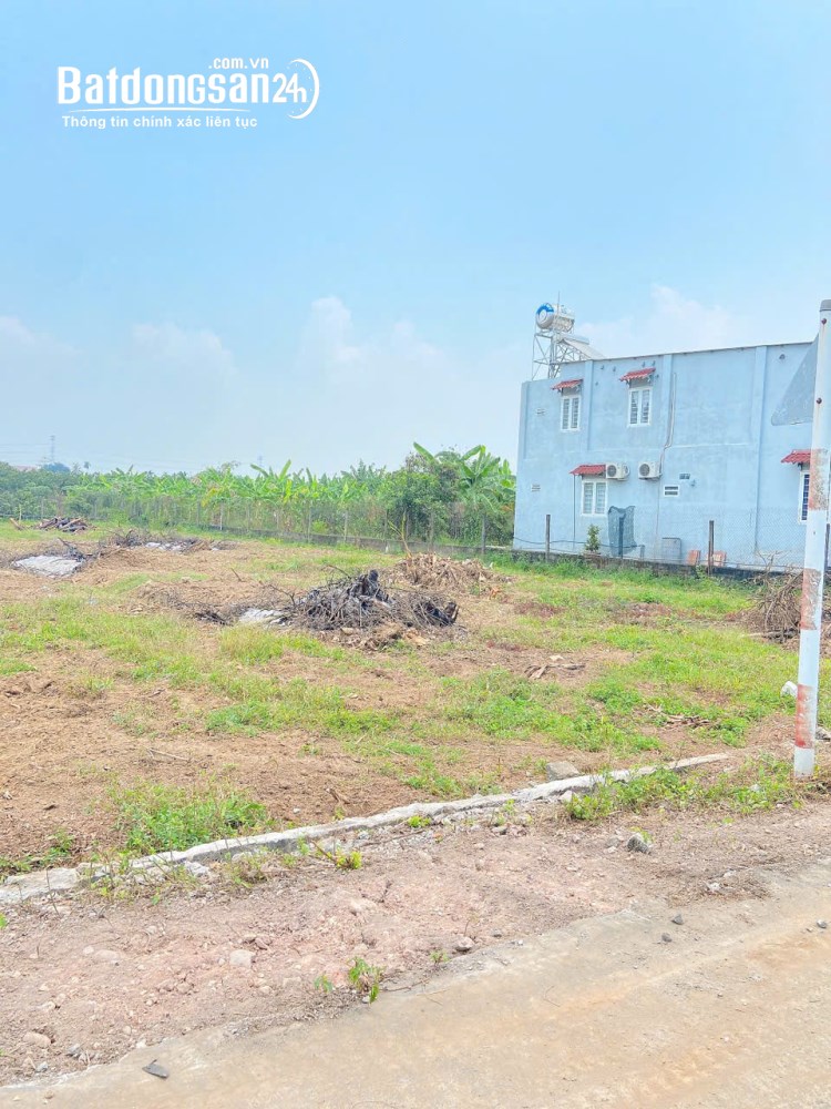 Bán đất Phường Tân Triều, Đồng Nai