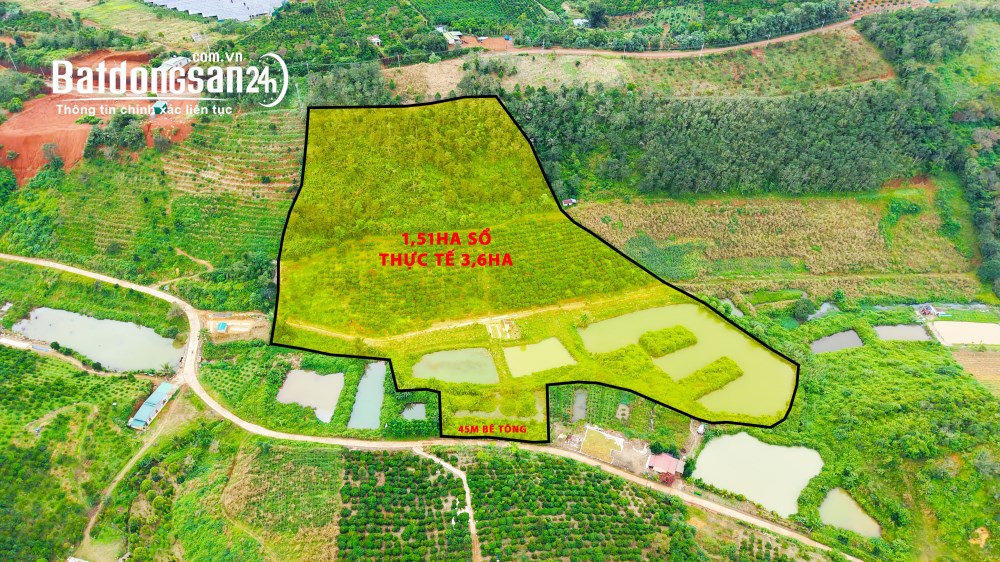 Rẫy cà phê đẹp khu dân cư đông, 45m bê tông tại Quảng Thành Gia Nghĩa