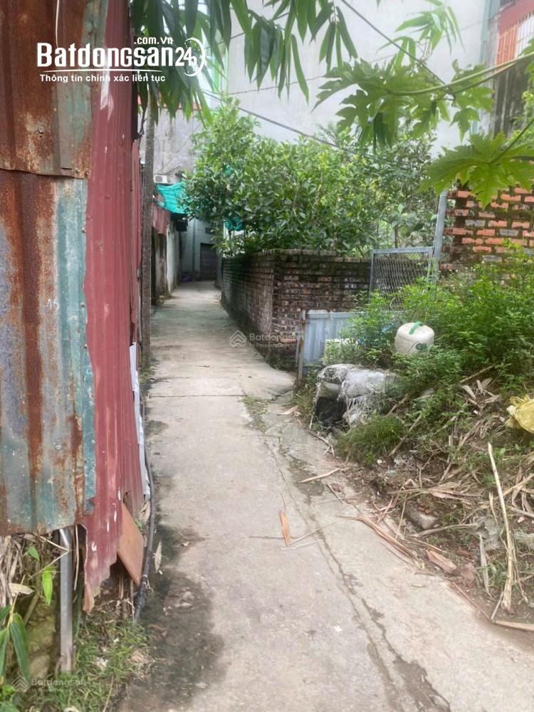 Bán đất Đường Ngọc Trục, Phường Đại Mỗ (Q Nam Từ Liêm cũ), Hà Nội