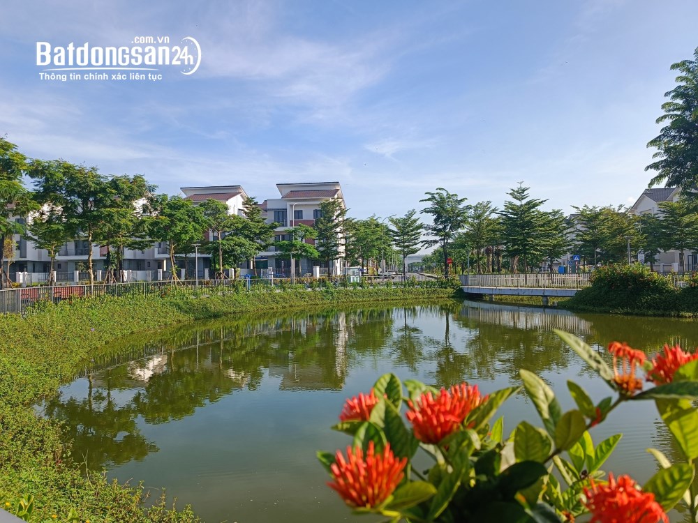 Bán Biệt thự-Villas Dự án Centa Riverside, Đường Hữu Nghị, Phường Từ Sơn