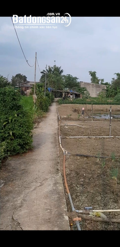 Bán đất Đường Đoàn Nguyễn Tuấn, Xã Hưng Long (H Bình Chánh cũ), Hồ Chí Minh