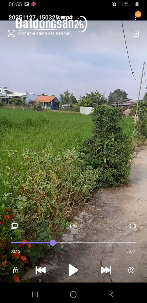 Bán đất Đường Đoàn Nguyễn Tuấn, Xã Hưng Long (H Bình Chánh cũ), Hồ Chí Minh