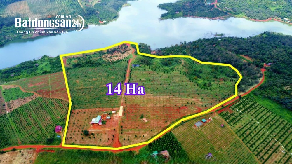 Bán đất Đường Tỉnh lộ 685, Xã Quảng Tín (Huyện Dăk RLấp cũ), Tỉnh Lâm Đồng