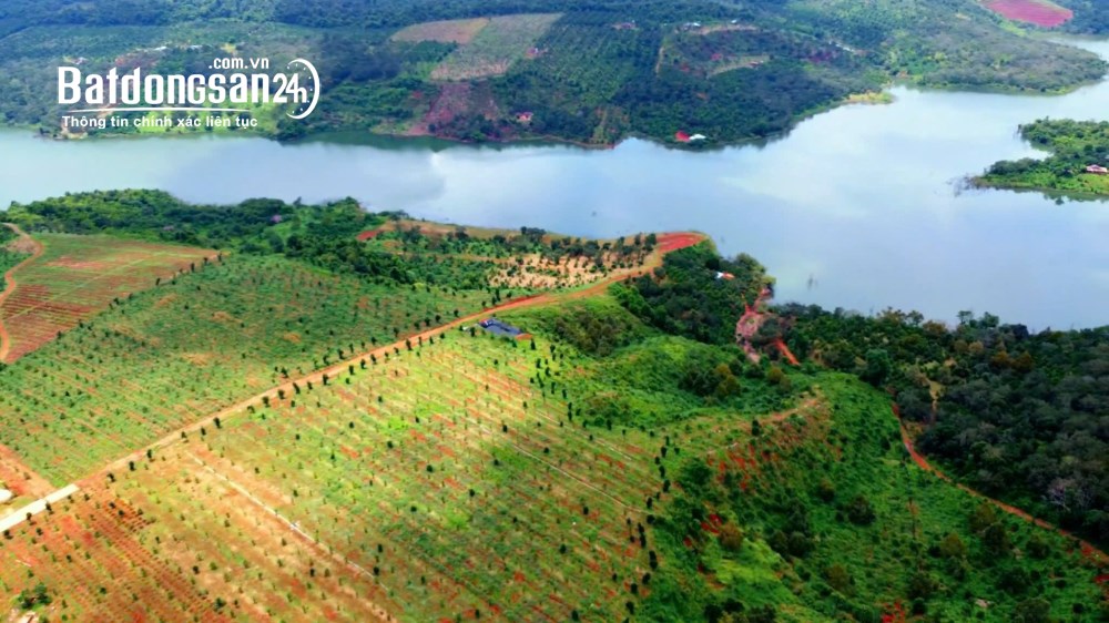 Bán đất Đường Tỉnh lộ 685, Xã Quảng Tín (Huyện Dăk RLấp cũ), Tỉnh Lâm Đồng