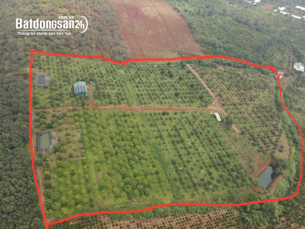 Bán đất Đường Quốc lộ 14, Xã Quảng Tín (Huyện Dăk RLấp cũ), Tỉnh Lâm Đồng