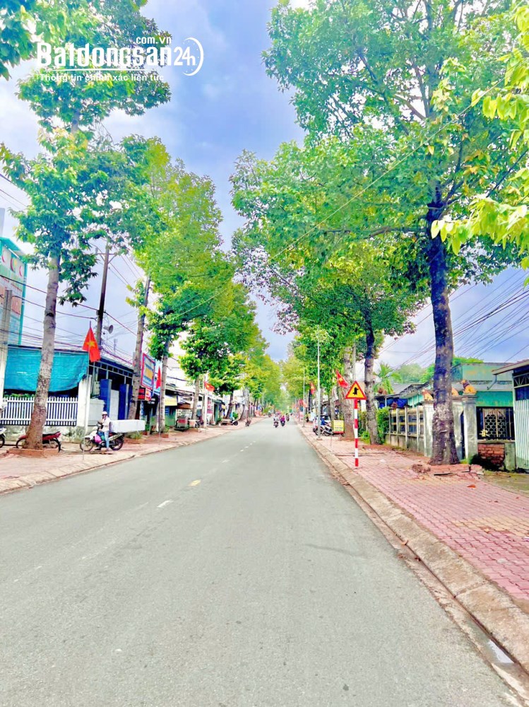 Bán đất Đường Hồ Văn Cống, Phường Thủ Dầu Một (Thủ Dầu Một cũ), TP Hồ Chí Minh