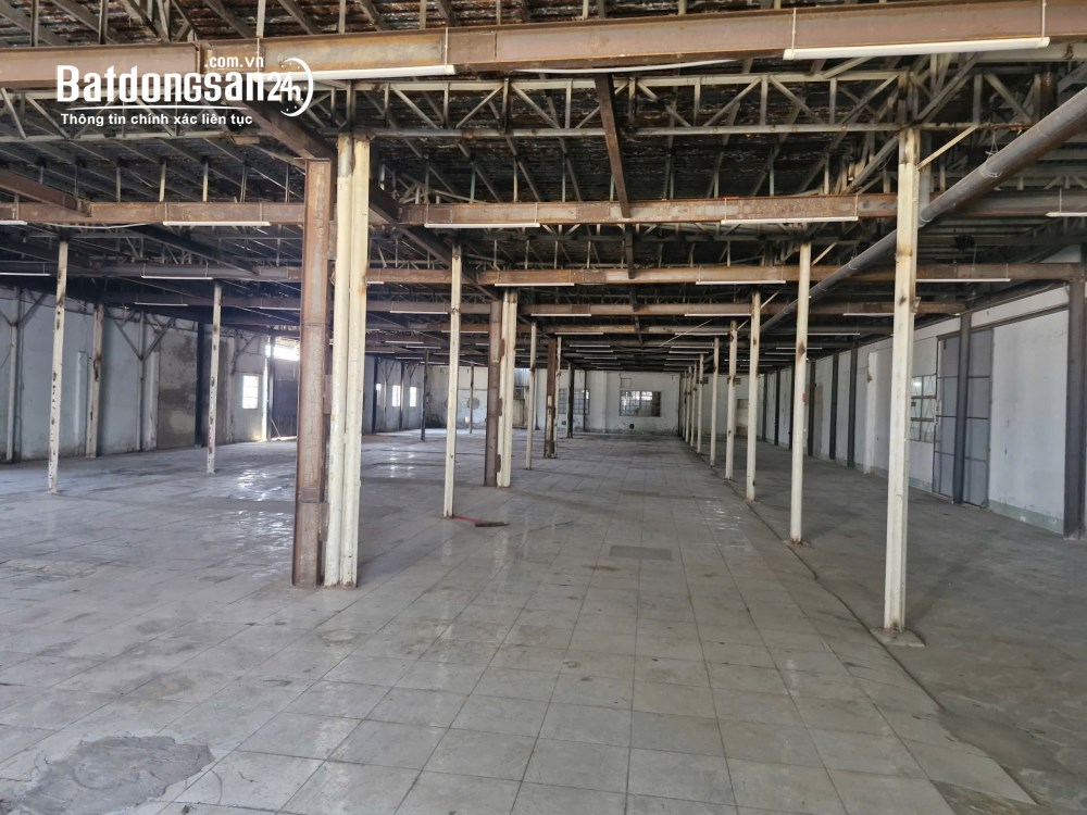 Cho thuê kho-xưởng Đường Tân Thới Nhất 8, Phường Đông Hưng Thuận (Quận 12 cũ), Hồ Chí Minh