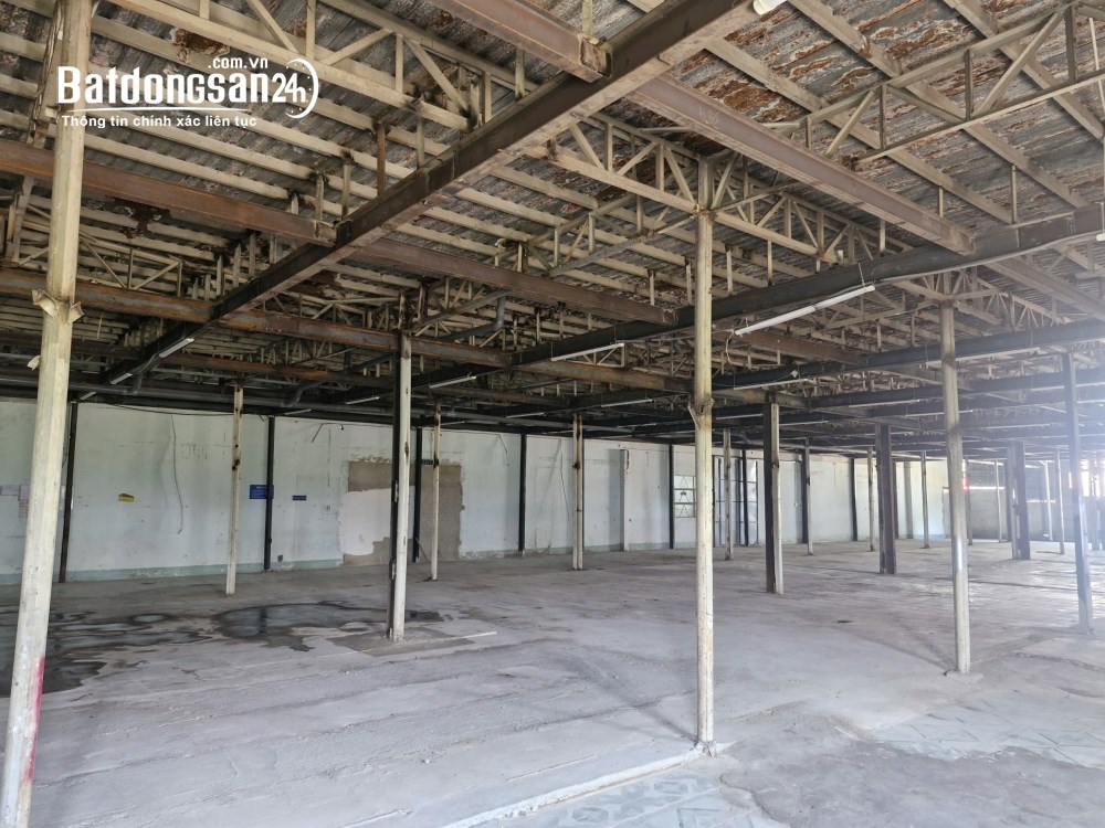 Cho thuê kho-xưởng Đường Tân Thới Nhất 8, Phường Đông Hưng Thuận (Quận 12 cũ), Hồ Chí Minh
