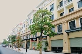 Bán Liền kề-Shophouse 222 Đội Cấn, Phường Ba Đình (Q Ba Đình cũ), Hà Nội