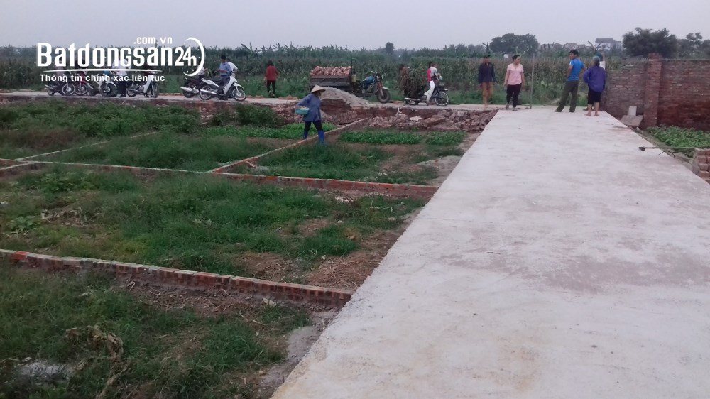BÁN NHANH 40m² ĐẤT HOÀNG LONG – ĐẶNG XÁ – GIA LÂM 