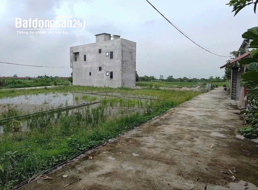 Bán đất Đường 38, Phường Trạm Lộ (TX Thuận Thành cũ), Bắc Ninh