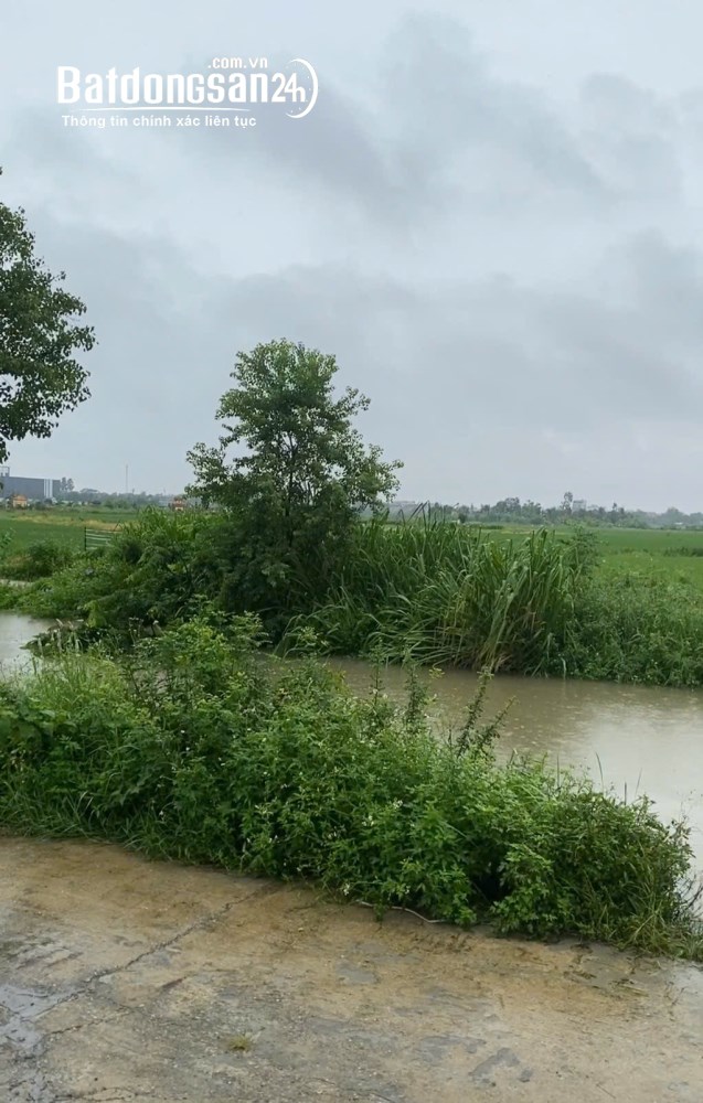 Bán đất Đường 38, Phường Trạm Lộ (TX Thuận Thành cũ), Bắc Ninh