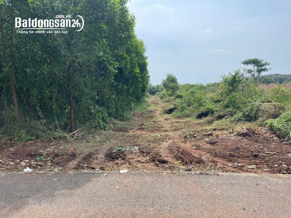 Bán đất Xã Phước Hải (Huyện Đất Đỏ cũ), Hồ Chí Minh