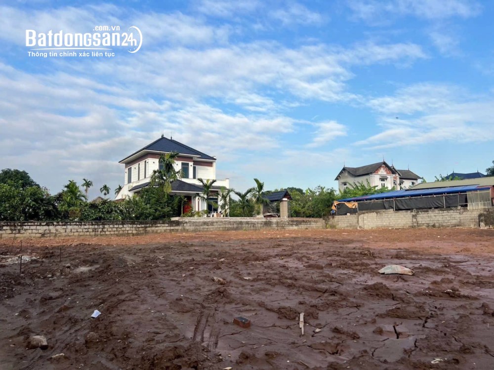 Bán đất Xã Triệu Việt Vương (Huyện Khoái Châu cũ), Hưng Yên