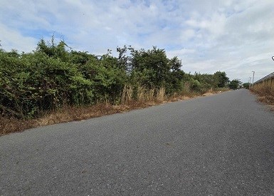 Bán đất Đường Phạm Văn Cội, Xã Củ Chi (H Củ Chi cũ), Hồ Chí Minh