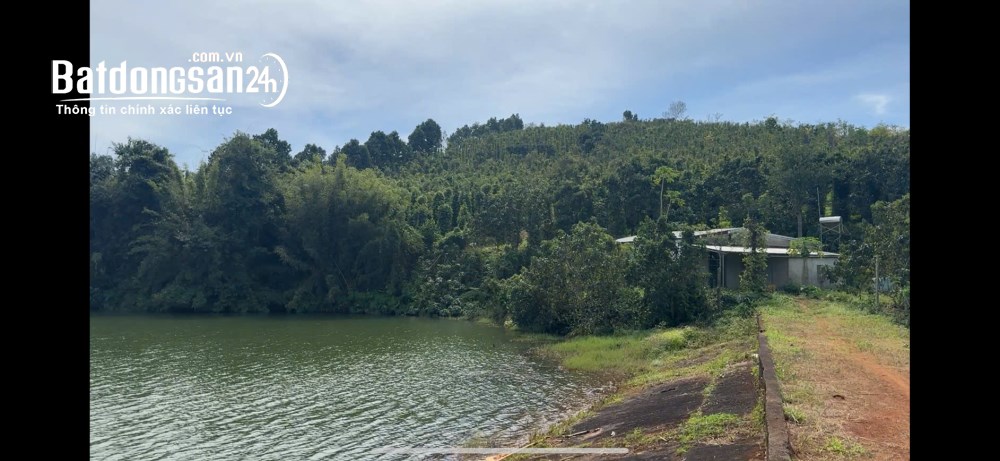 Rẫy view hồ tự nhiên giá rẻ, nguồn thu mạnh, oto vào tận nơi, đông dân cư