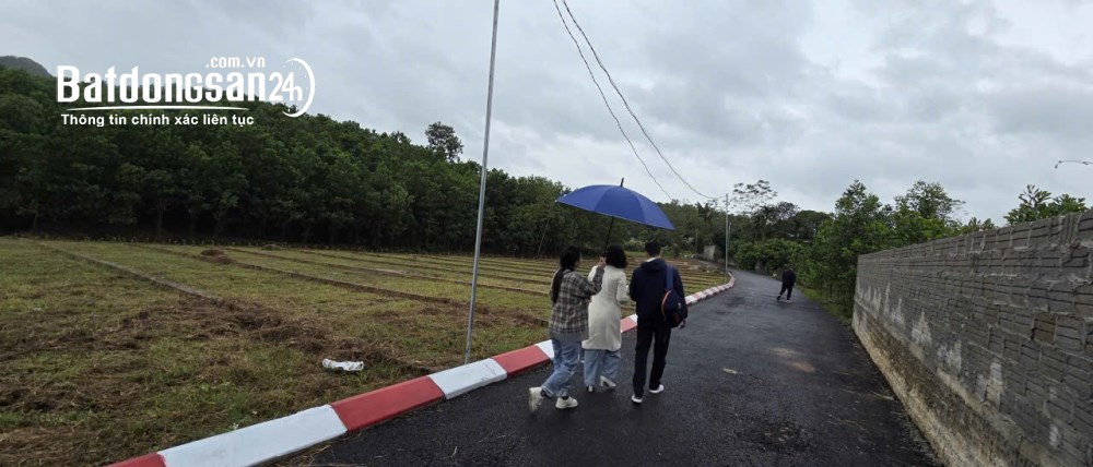 Bán đất nền phân lô Đường Quốc lộ 21A(QL21), Xã An Bình (Huyện Lạc Thủy cũ), Phú Thọ