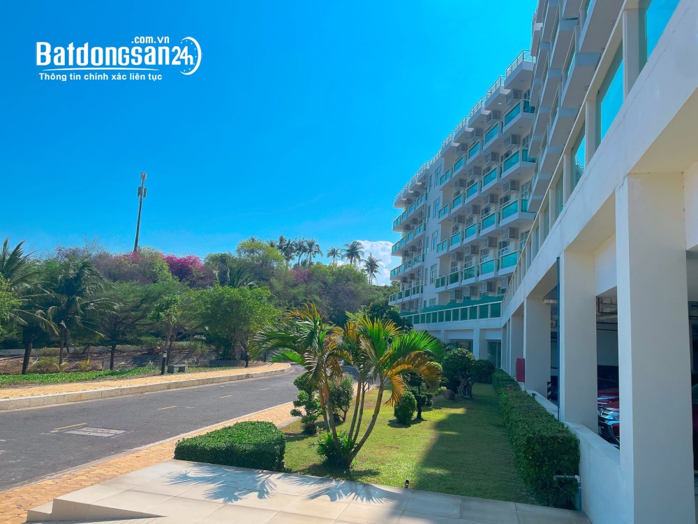 Bán căn hộ Ocean Vista, Đường Nguyễn Đình Chiểu, Phường Phú Thủy (Tp Phan Thiết cũ)